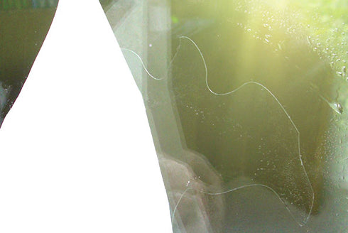 Birdsticker‐Set Dr. Kolbe -  5 läpinäkyvää uv-tarraa